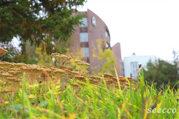 吉林动画学院